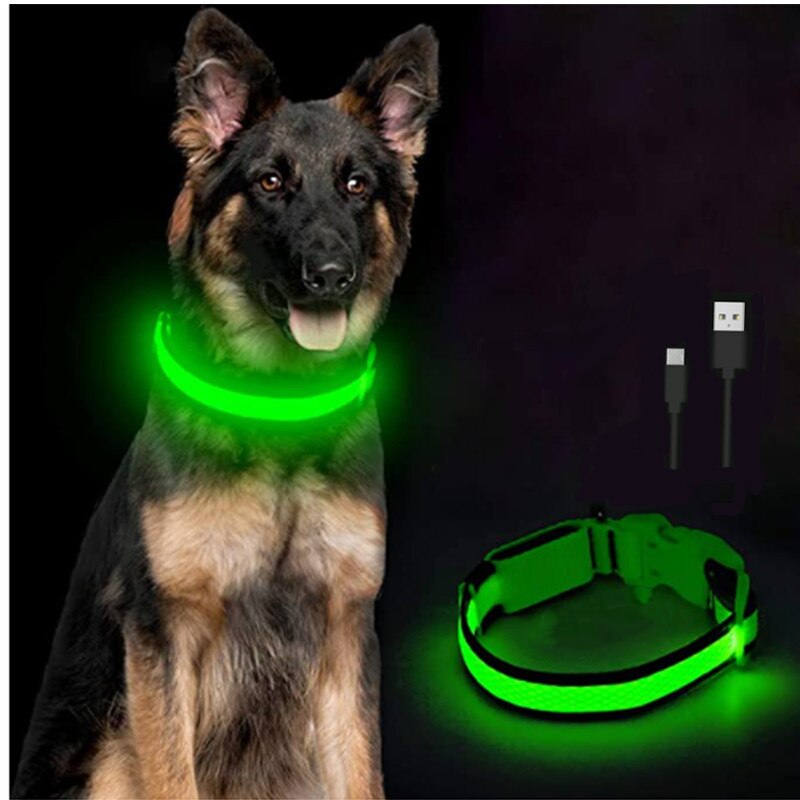 LightPup LED Dog Collar: Night Safety for Small Pets. Zydropshipping